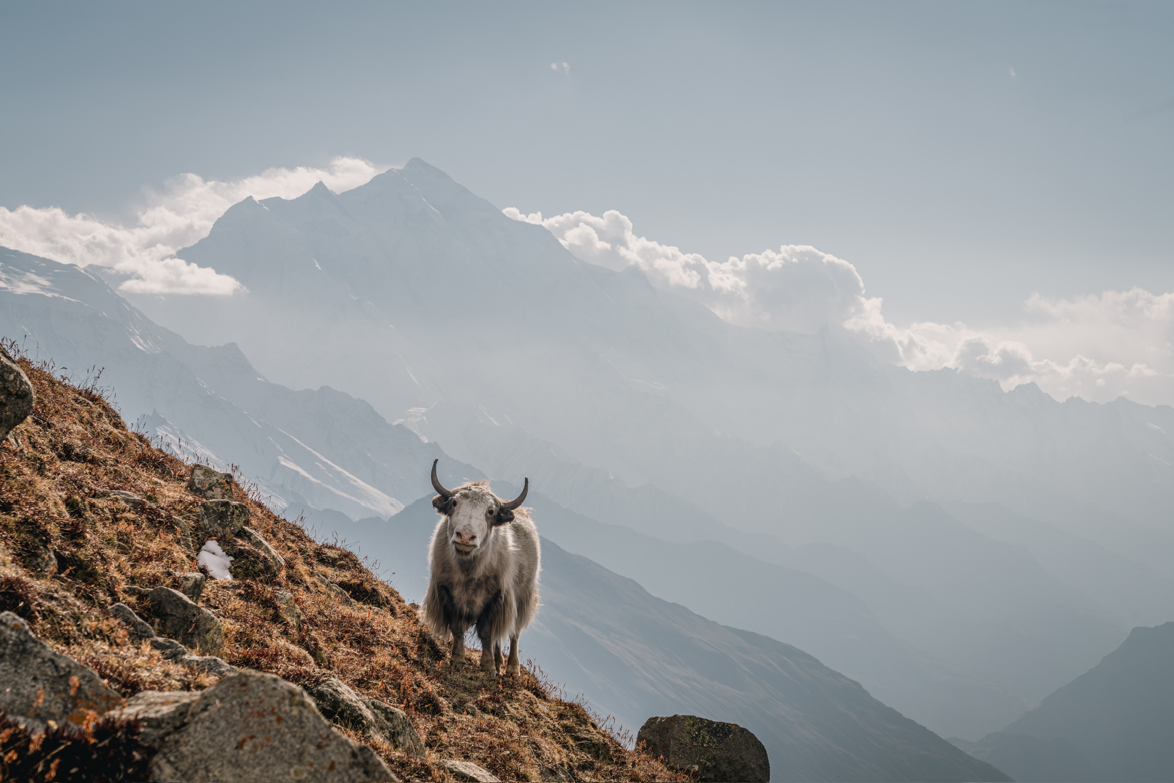 Travel team in mountain terrain