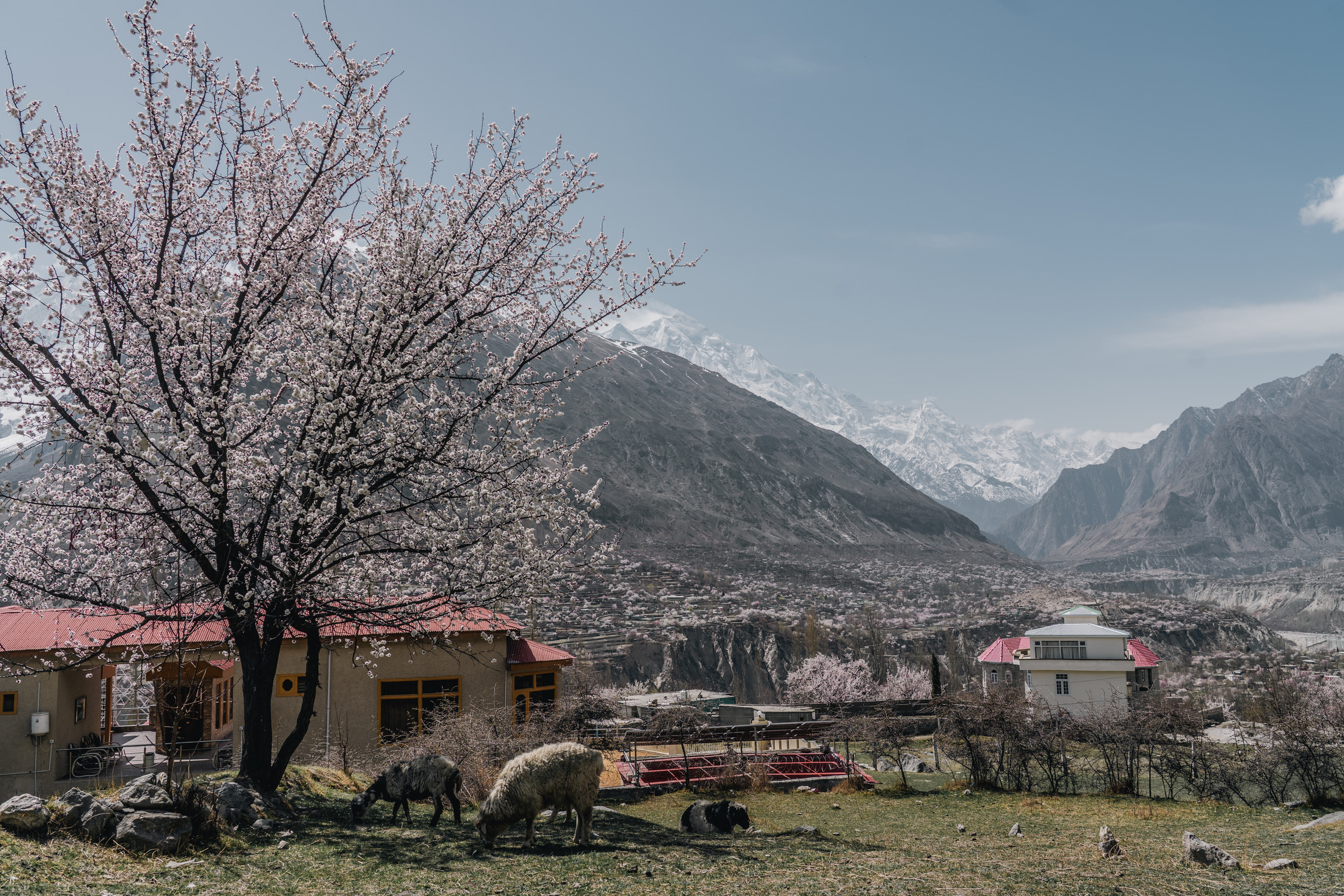 Dramatic ridgelines above Hunza